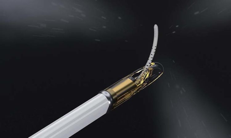 Francis Medical Lands $80M in Quest to Conquer Prostate Cancer