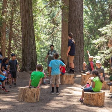 Summer Camp Lessons for CEOs