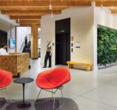 Office Envy: Foundational Appeal